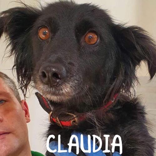 Claudia, ideaal voor senioren! 