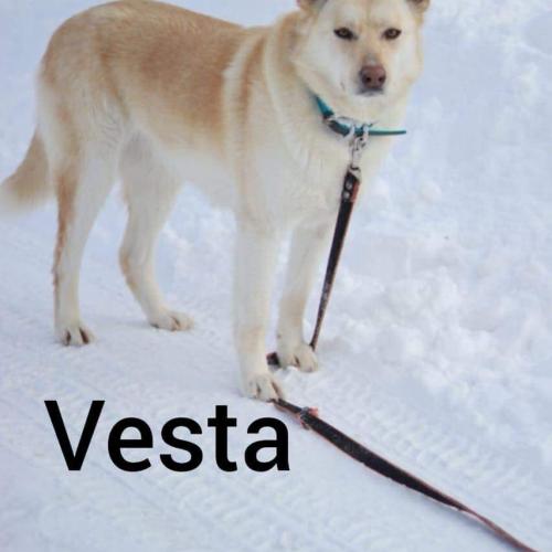Vesta 