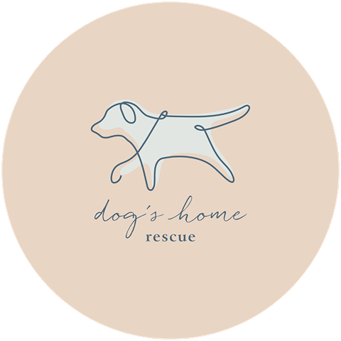 Dog's Home 
