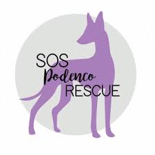 SOS Podenco Rescue