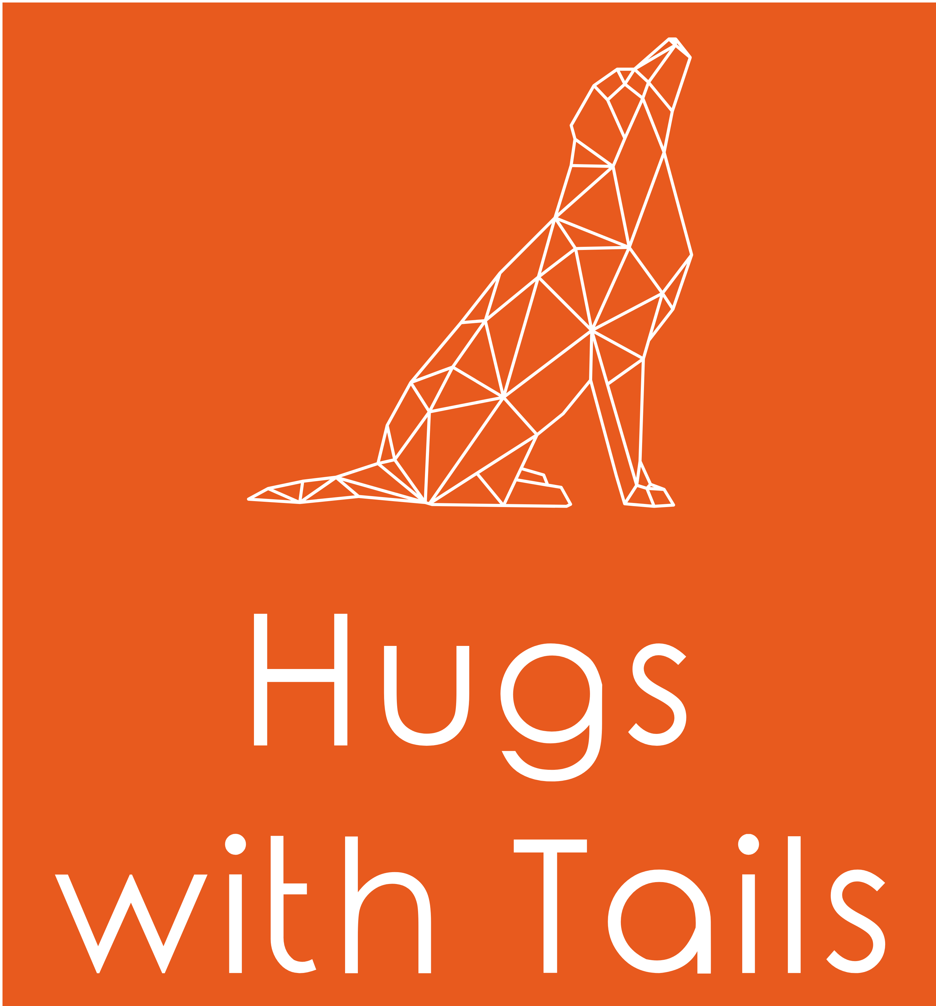 Hugs with Tails