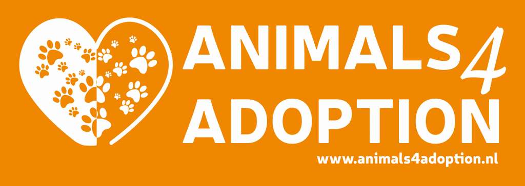 Bianca Associação Proteção Animal / animals4adoption
