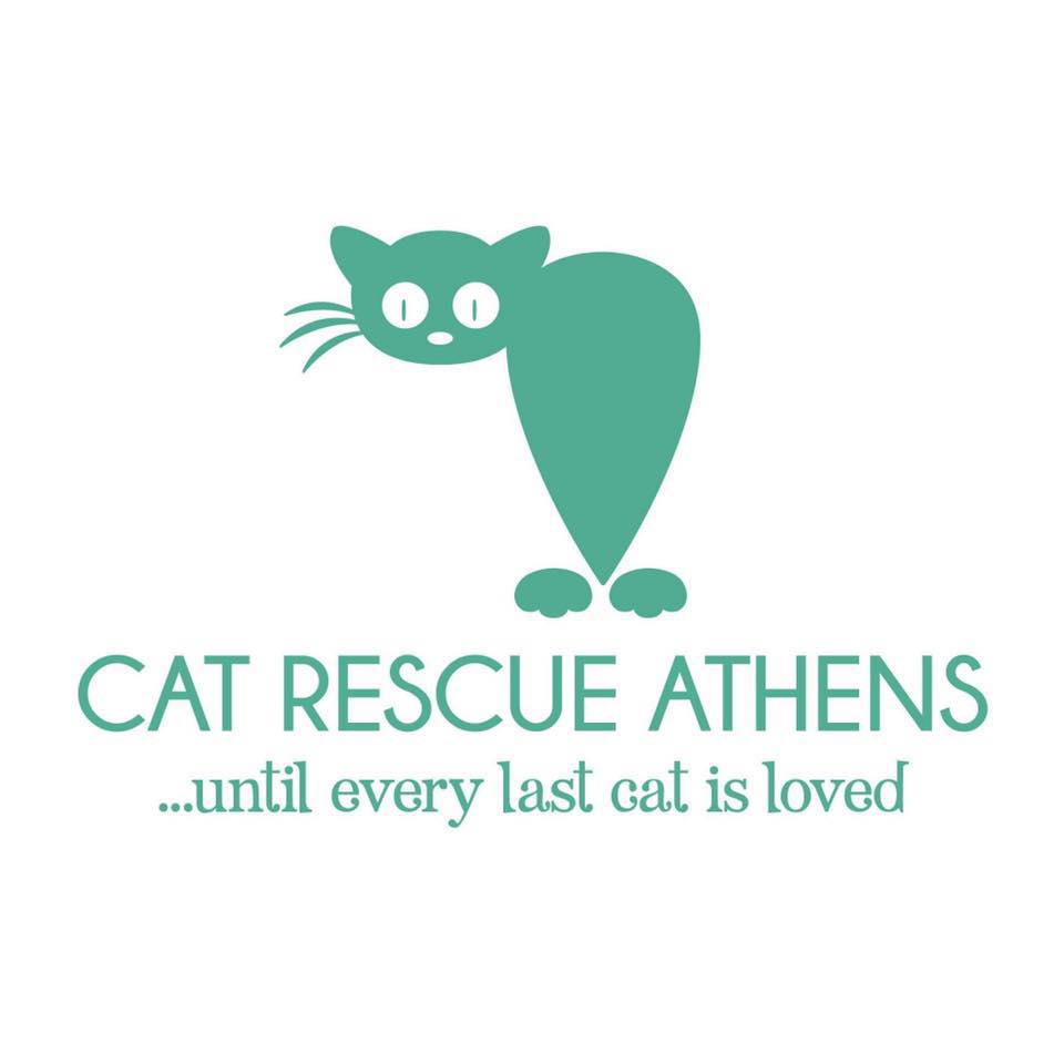Cat rescue Athens